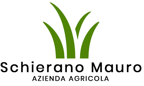 Schierano Mauro Azienda Agricola