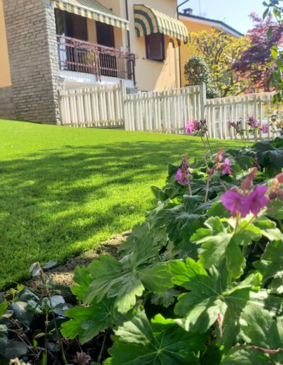 IMG-20260219-WA0037